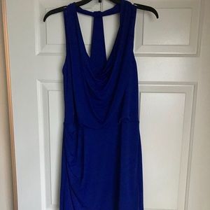 BCBG MaxAzria Blue Scoop Neck Dress